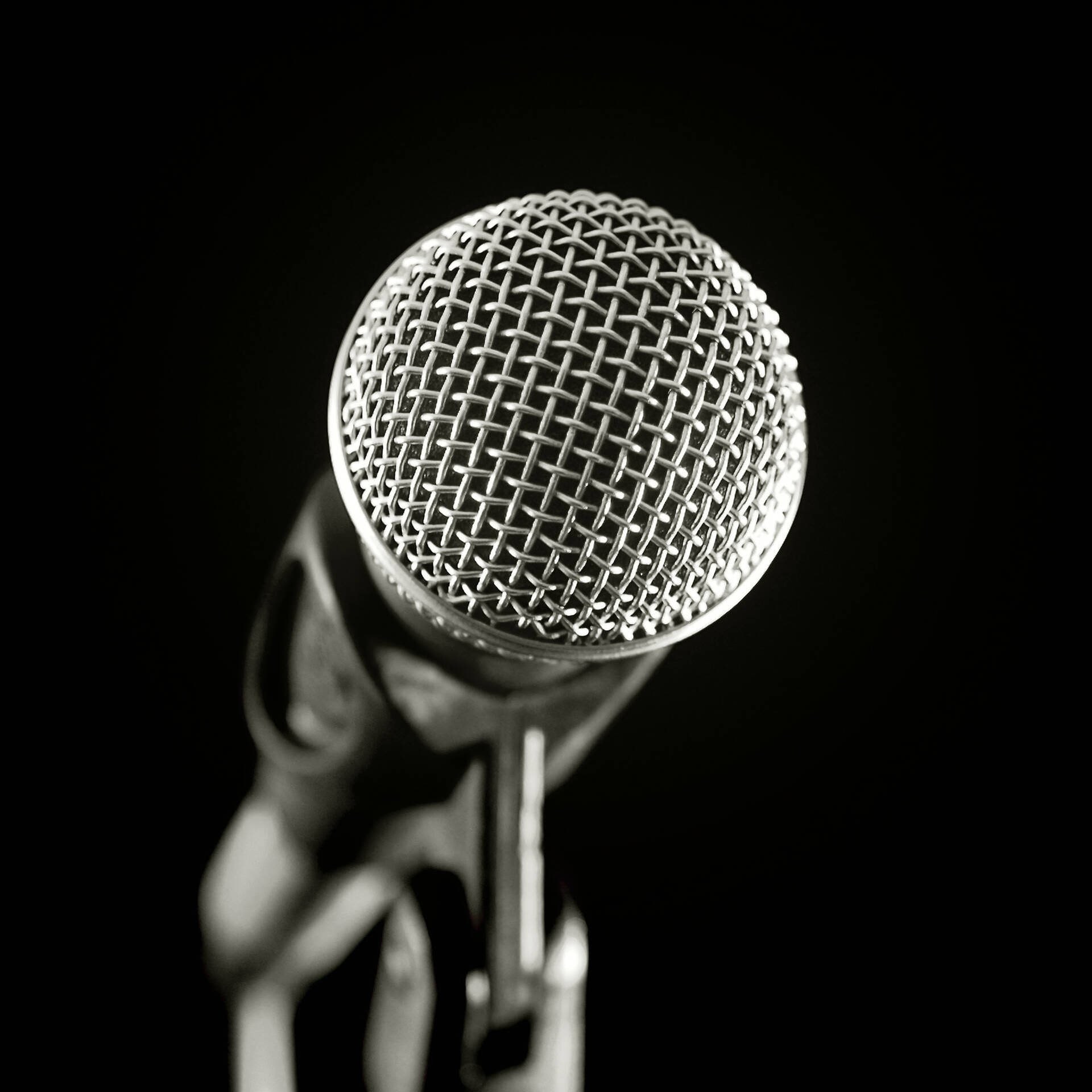 Das Mikrofon – Vom Profigerät zum Alltagsgegenstand