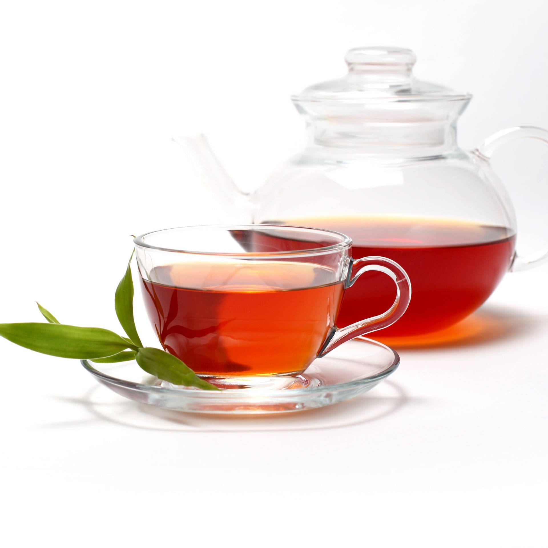 Tee – Die Erforschung eines Heißgetränks