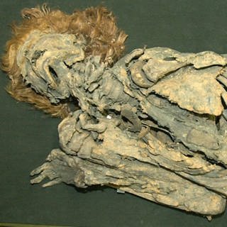 Im Bonner Forschungs-Zentrum caesar liegt eine fast 2.000 Jahre alte Moorleiche