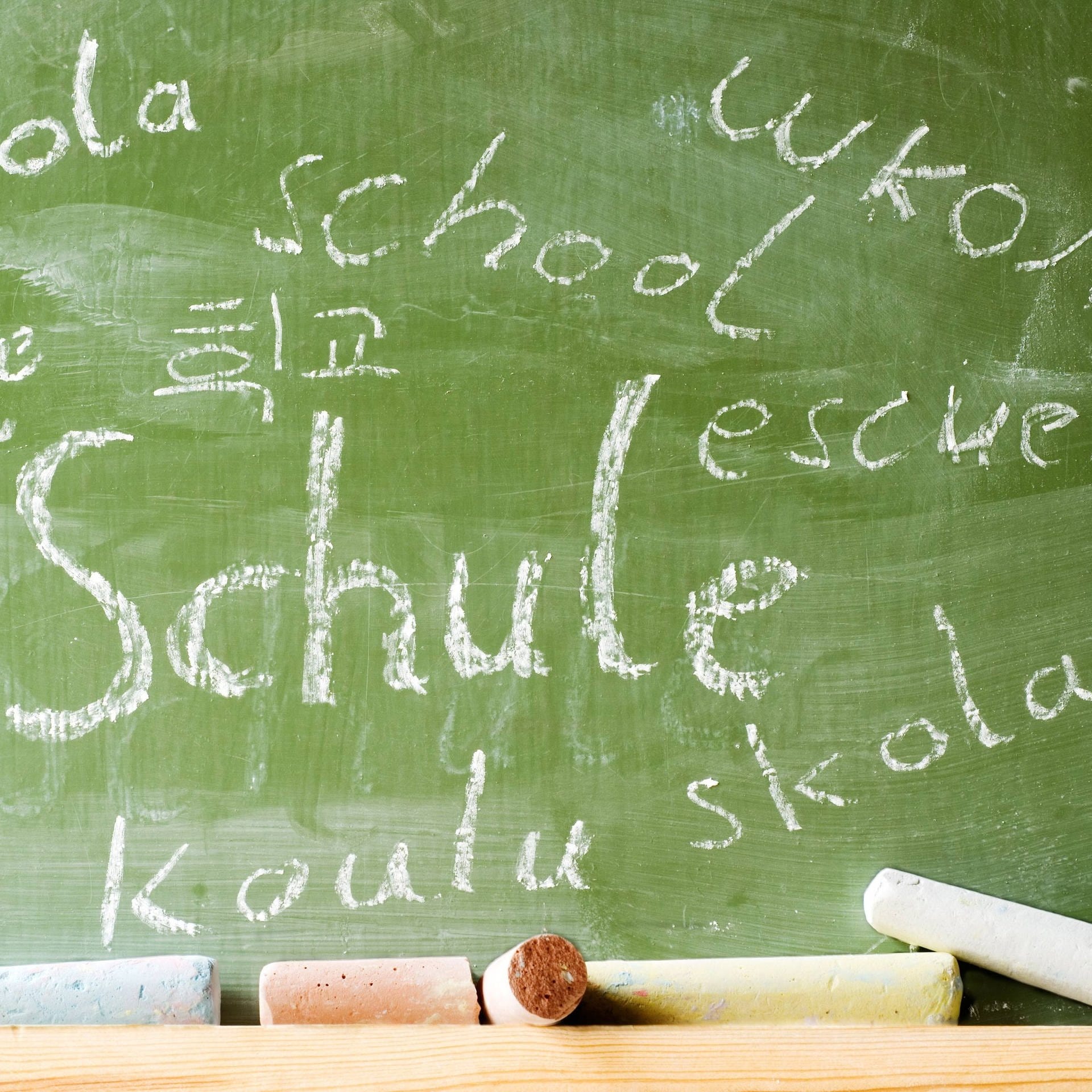 Deutschdefizite an Schulen – Ist Mehrsprachigkeit die Lösung?