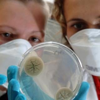 Forscherinnen im Labor