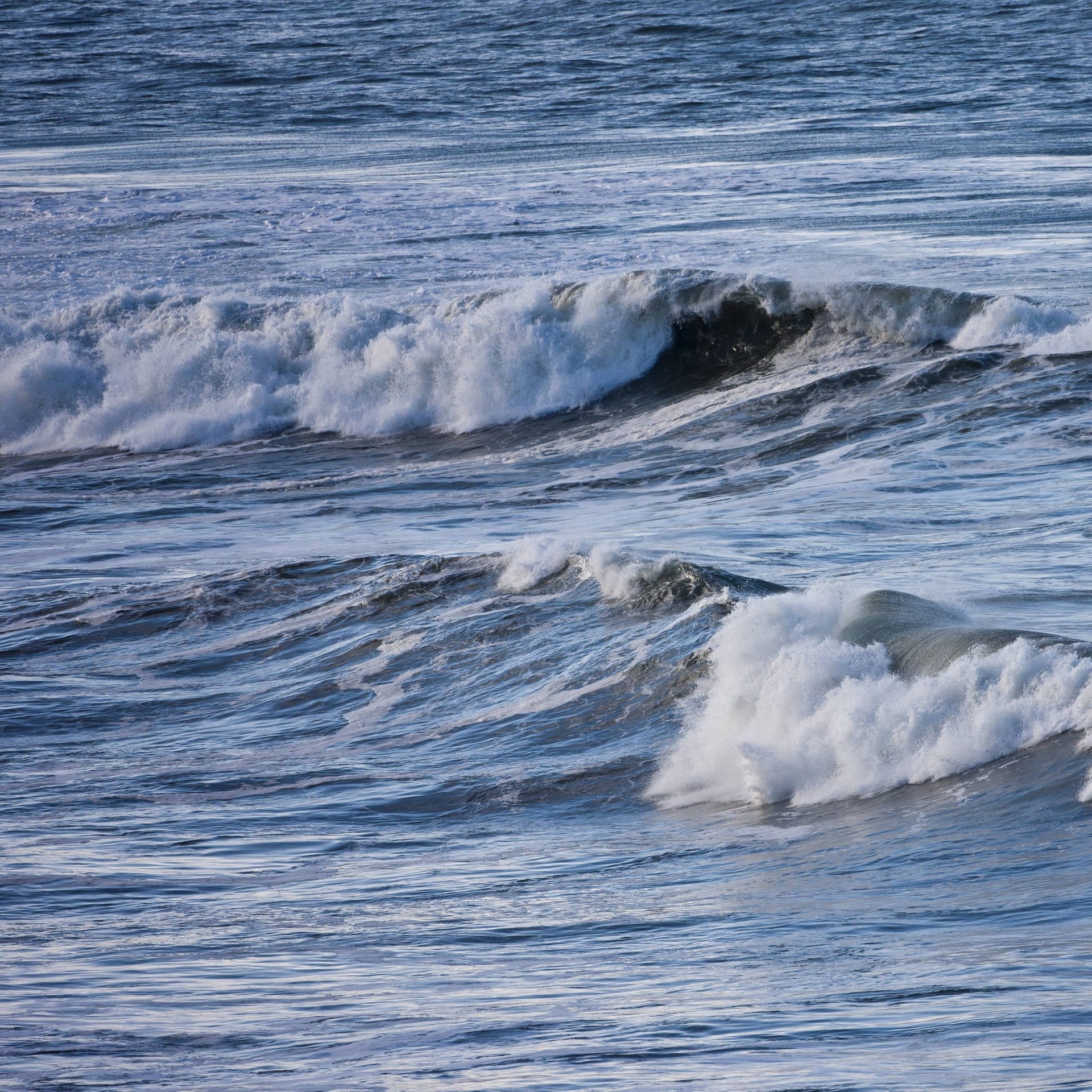 Mikroben im Meer – Kleine Helfer für die Umwelt