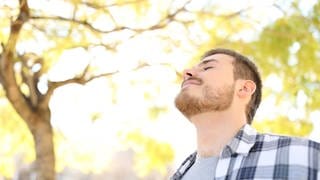 Ein Mann atmet entspannt im Park. Seitdem sich immer mehr Menschen für Achtsamkeit und Meditation interessieren, liegen Atem-Kurse, Atem-Apps und Ratgeber zum "richtigen Atmen" im Trend.