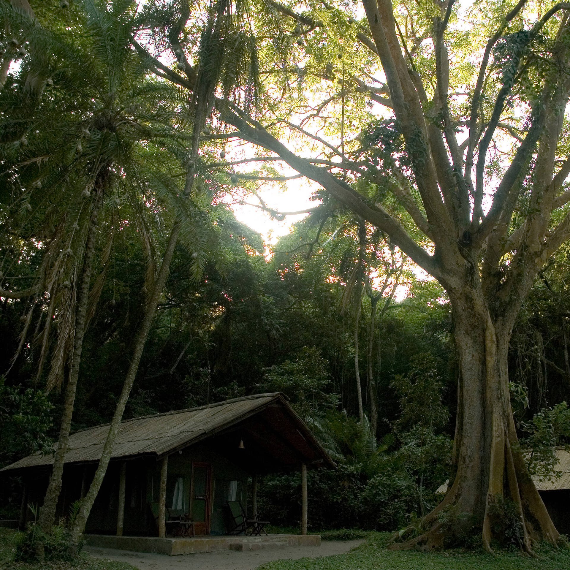 Rubondo Island | Bernhard Grzimeks Naturschutzprojekt in Tansania