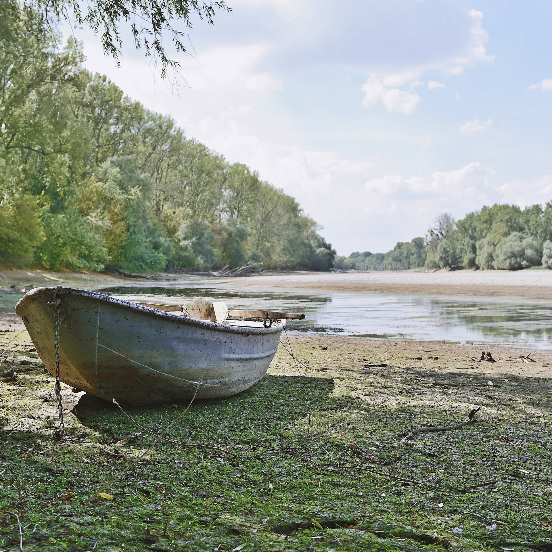 Mehr Raum für den Rhein – Wie der Fluss den Klimawandel überleben kann