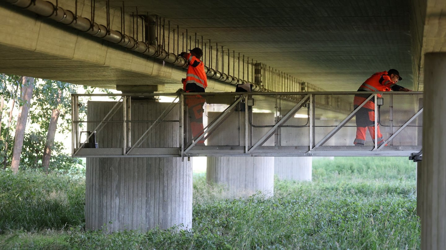 Mitarbeiter vom Straßenbauamt unterziehen eine Brücke einer Prüfung.