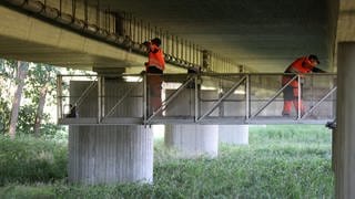 Mitarbeiter vom Straßenbauamt unterziehen eine Brücke einer Prüfung. 