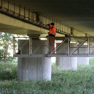 Mitarbeiter vom Straßenbauamt unterziehen eine Brücke einer Prüfung. 