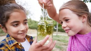 Zwei Mädchen betrachten Wasserlinsen in einem Glas: Wie lernen Kinder und Jugendliche ökologisch zu handeln? Kitas und Schulen sollen ein Klima der Veränderung pflegen. 