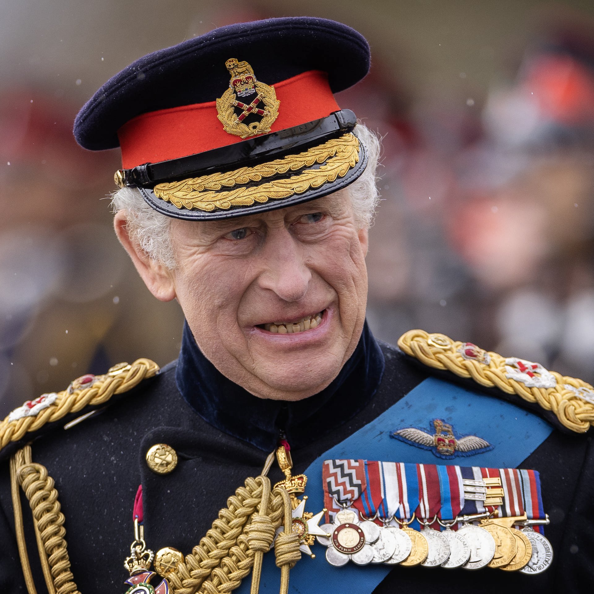 König Charles III. und die Zukunft der britischen Monarchie