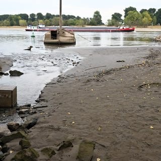 Ein Frachtschiff fährt auf dem Rhein an einem Schiffwrack vorbei, das normalerweise unter Wasser liegt.