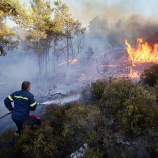 Ein griechischer Feuerwehrmann beim Löschen eines Waldbrandes 