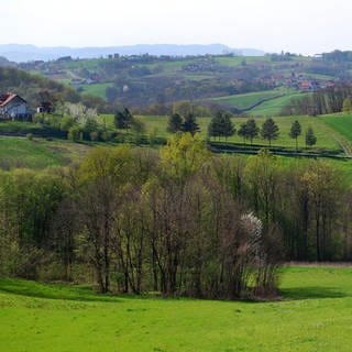 Panorama des Jadar-Flusstals im Westen Serbiens. 