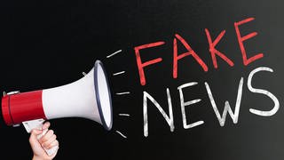 Symbolbild für Falschmeldungen: Megaphone mit Schriftzug "Fake-News".