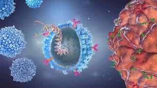 CAR-T-Zelle mit implantiertem Genstamm (Illustration): Erfolge bei Schwarzem Hautkrebs, Leukämie und Tumoren in Lunge, Brust und Niere erzielt die Immuntherapie. Statt die Krebszellen direkt anzugreifen wie Chemo- und Strahlentherapie, unterstützt die Immuntherapie die körpereigenen Abwehrkräfte, um gegen die Krebszellen anzugehen. Oder sie verändert die Immunzellen des Patienten so, dass sie die Krebszellen angreifen.