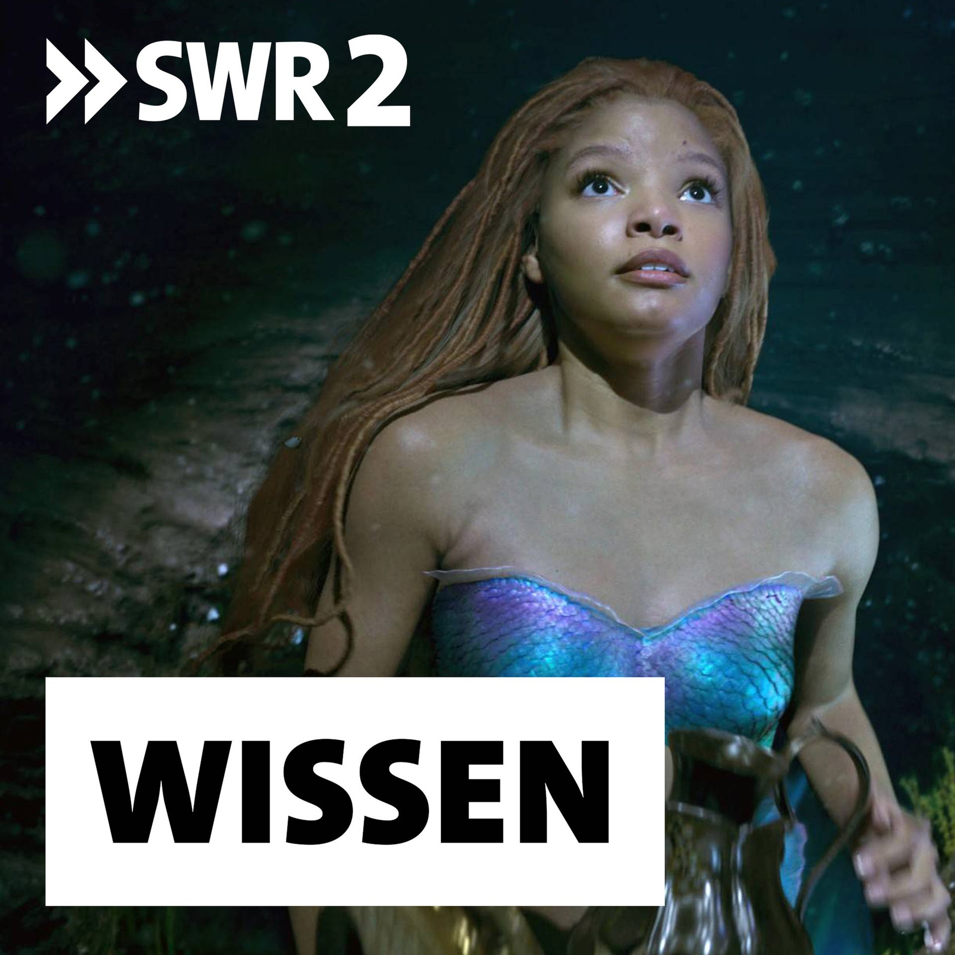 Der Disney-Konzern – Vom weißen Entenhausen zur Schwarzen Arielle