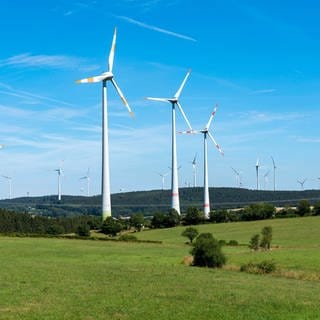 Windpark: mehrere Windräder in Reinland-Pfalz. 