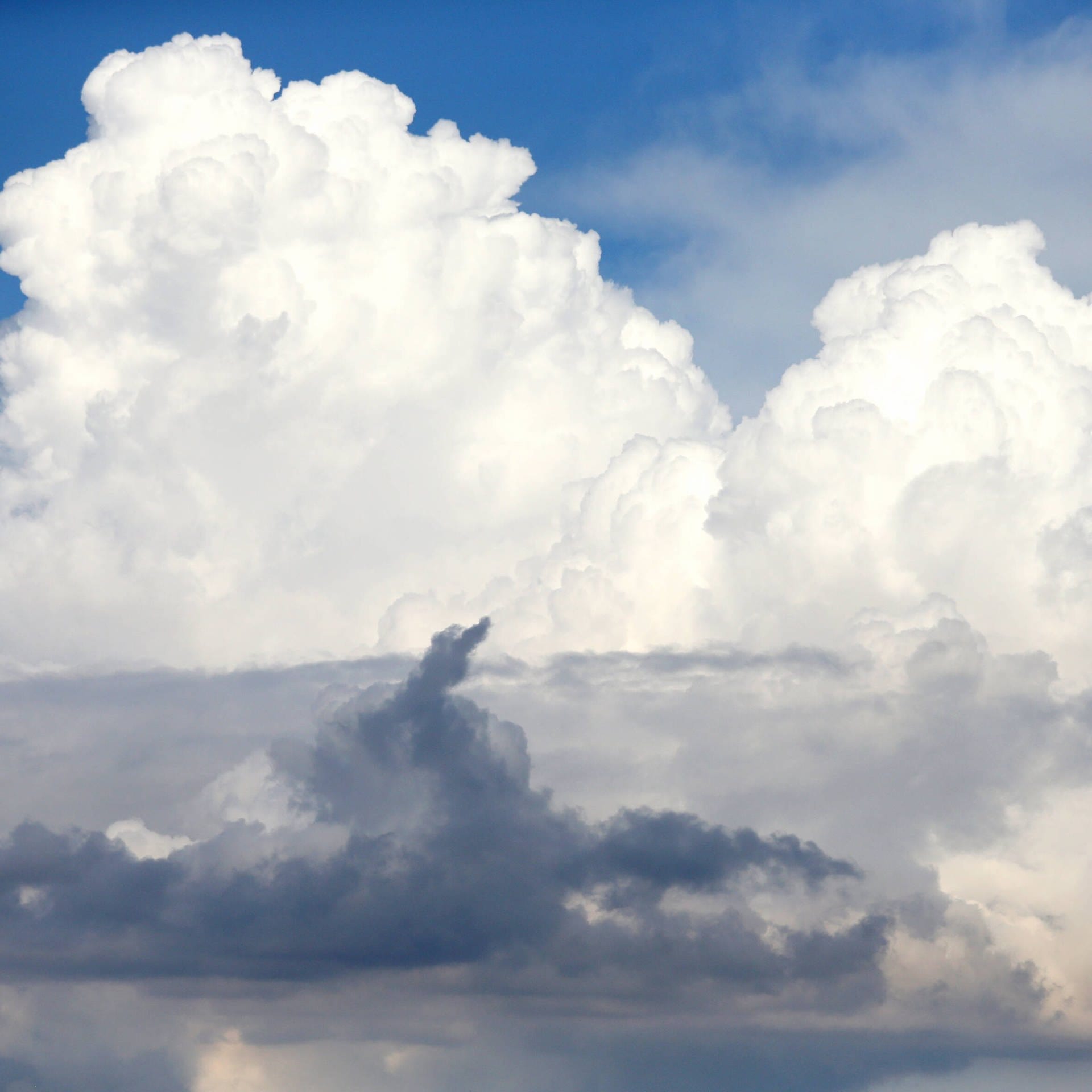 Wolkenforschung war hilfreich in der Pandemie | Atmosphärenforscherin Mira Pöhlker