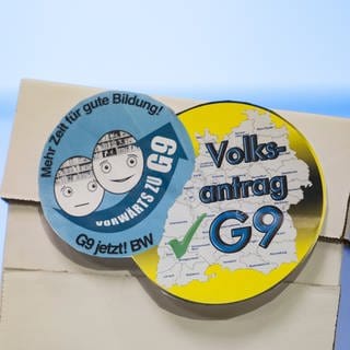 Ein Karton, in dem sich Unterschriftenlisten der Elternintiative „G9 Jetzt! BW“ befinden, steht auf einem Tisch. 