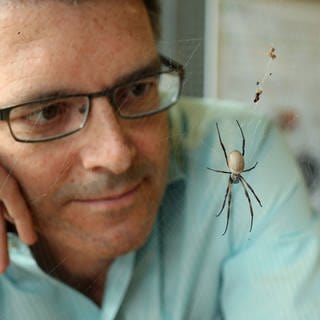 Thomas Schibel forscht an der Bayreuther Uni an der technischen Nutzung von Spinnenseide. Archivfoto