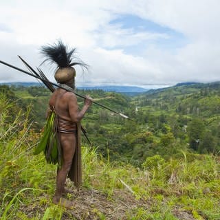 Traditionell gekleideter Stammeschef im Hochland, Paya, Highland, Papua-Neuguinea