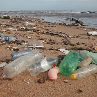 Im Sand des Strandes Costa Azul liegen Plastikflaschen und aufgehäufter Müll.  