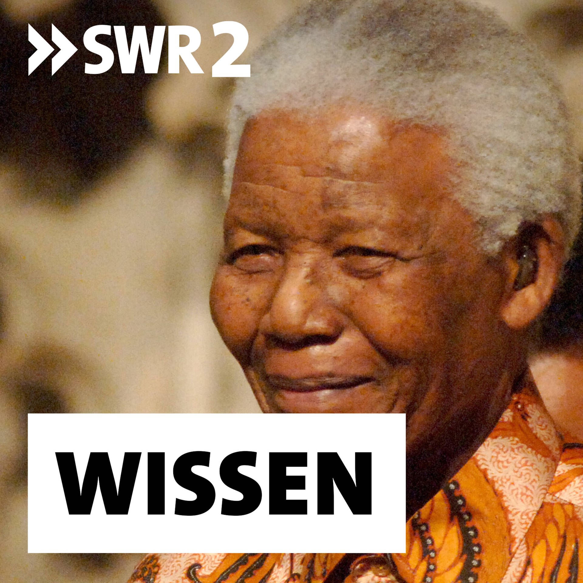 Nelson Mandela und der Sieg über die Apartheid