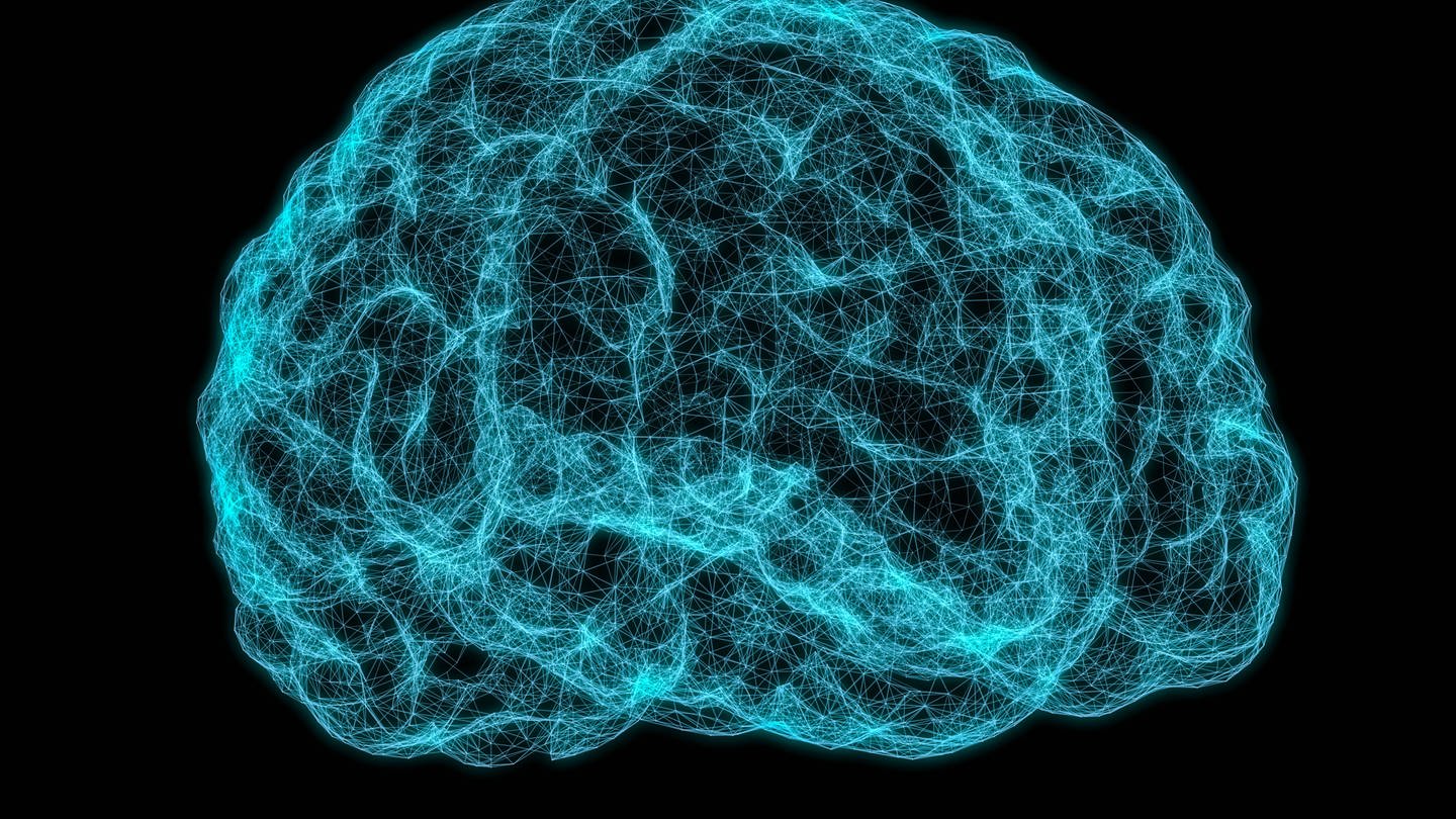 Röntgenbild des menschlichen Gehirns auf dunklem Hintergrund. 3D-Illustration