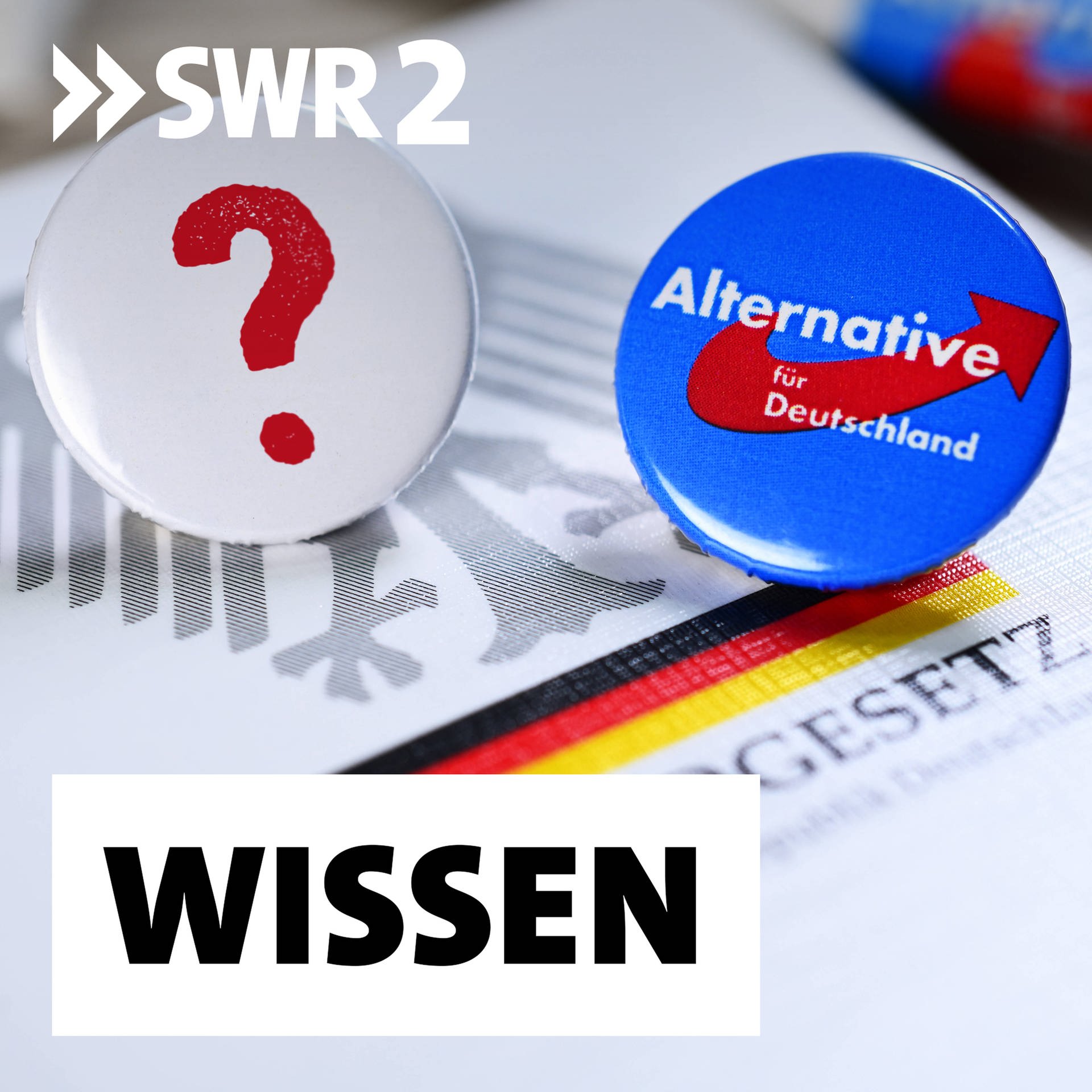 Parteienverbote – Wann die Demokratie sich wehren muss