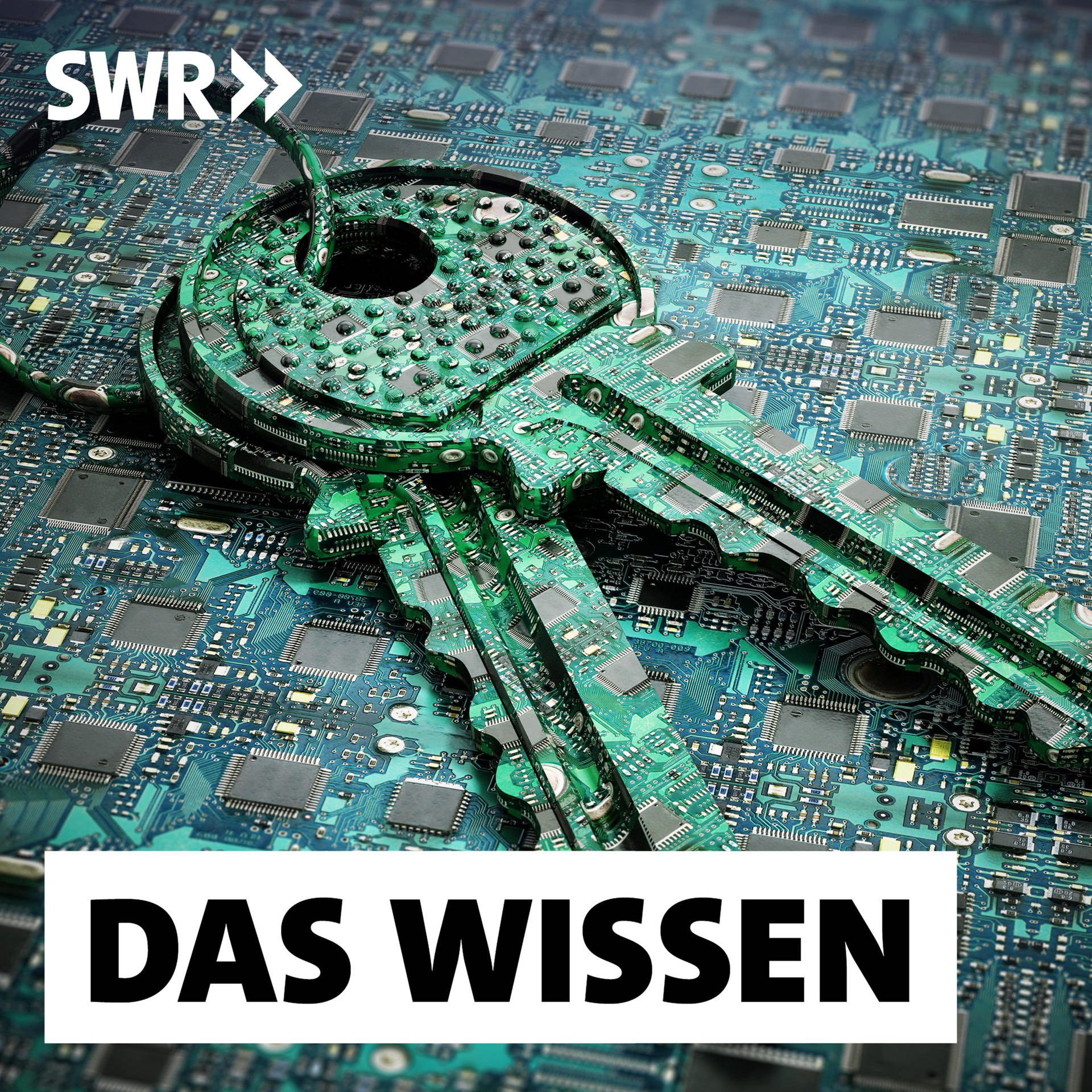 Datenverschlüsselung – Wie Kryptografie unser Leben bestimmt