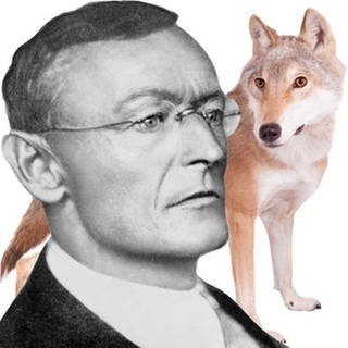 Hermann Hesse: Der Steppenwolf