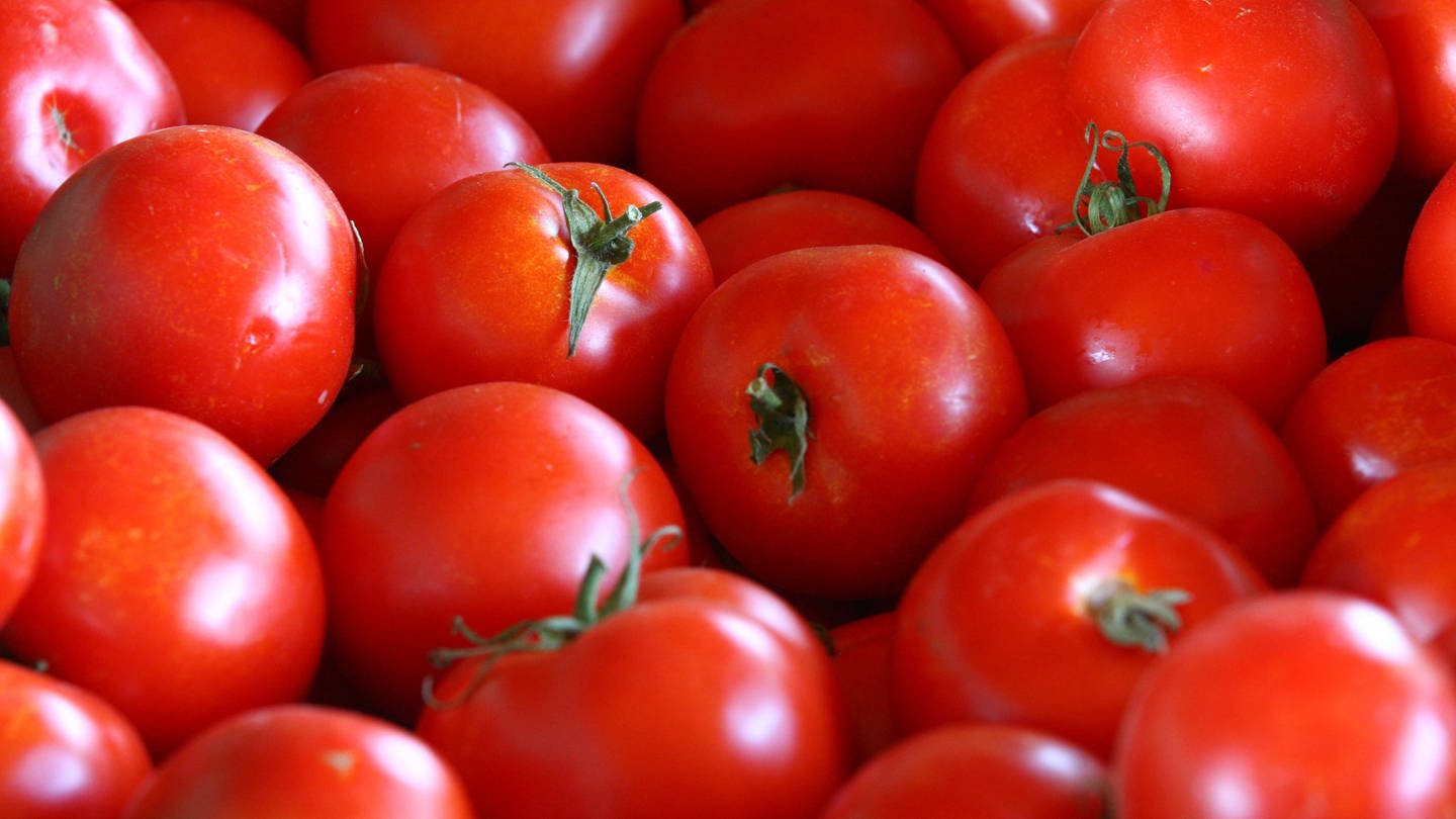 Tomaten: naturbelassen oder gentechnisch modifiziert?
