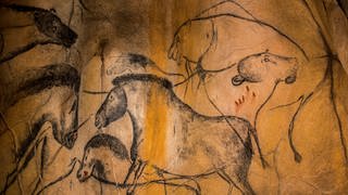 Felsmalereien in der Höhle von Chauvet
