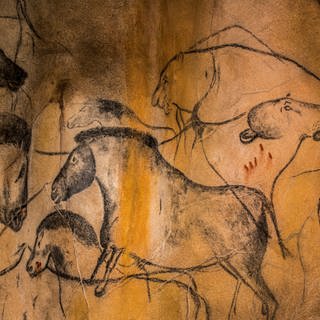 Felsmalereien in der Höhle von Chauvet