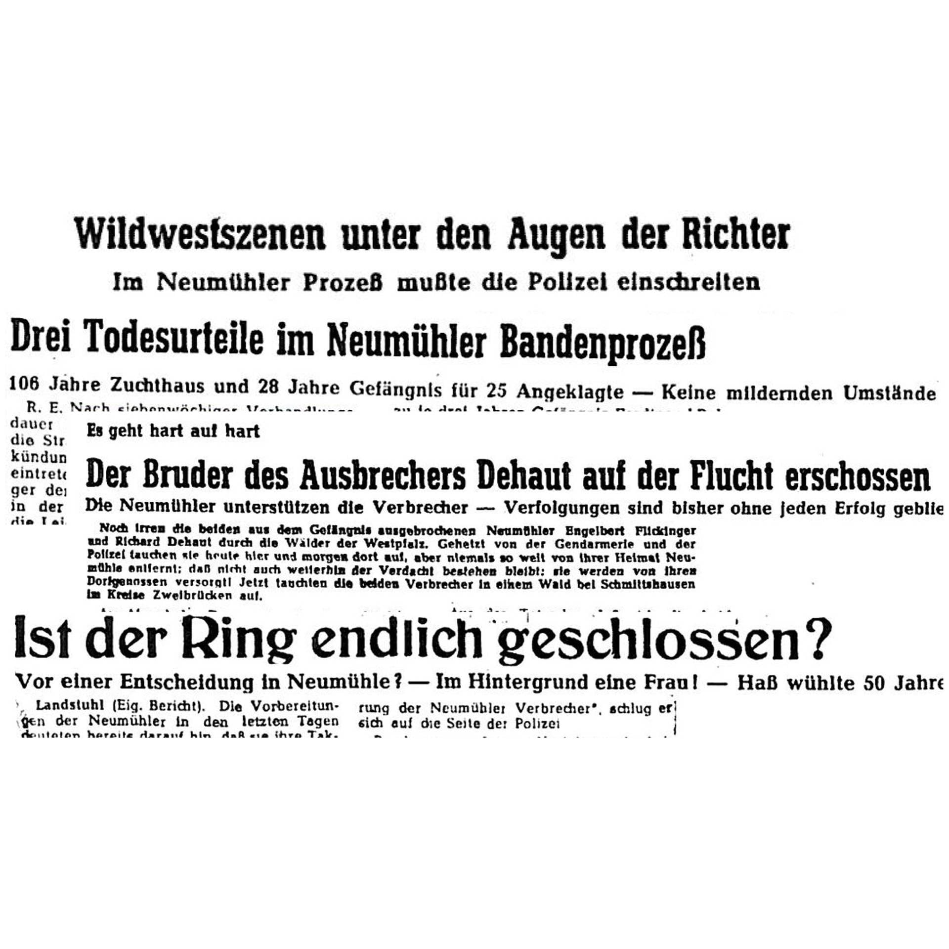 Neumühler Banden-Prozess: Beweisaufnahme (1/4) | 7.2.1949