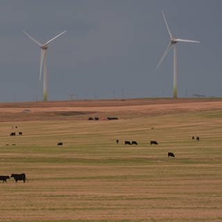 Wind Turbines Kanada