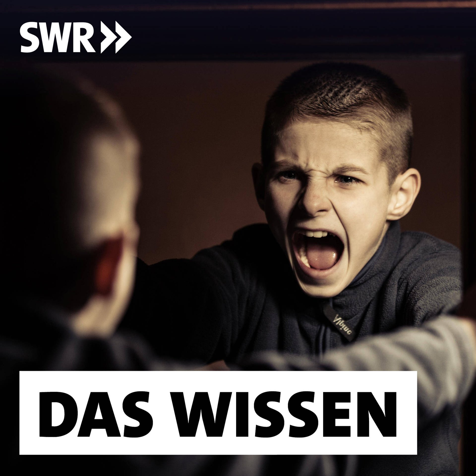 Jungen in der Pubertät – Wild, faul und missverstanden?