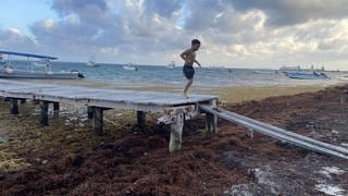 Ein Junge hüpft in Puerto Morelos  Mexiko über einen Steg vom Bootsanleger über den von Algen bedeckten Strand