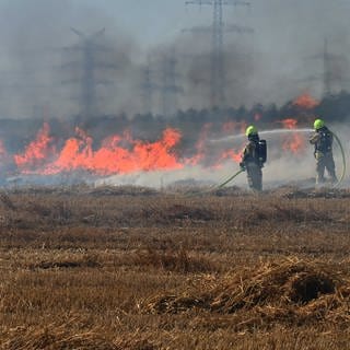 Feuerwehrleute bekämpfen einen Feldbrand