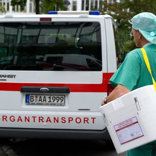 Ein Styropor-Behälter zum Transport von zur Transplantation vorgesehenen Organen wird zu einem Fahrzeug für den Organtransport gebracht.