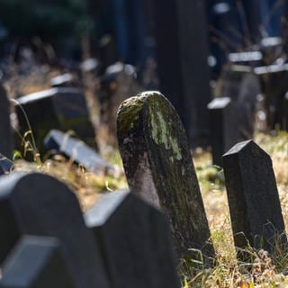 Gräber auf dem Wiener Zentralfriedhof