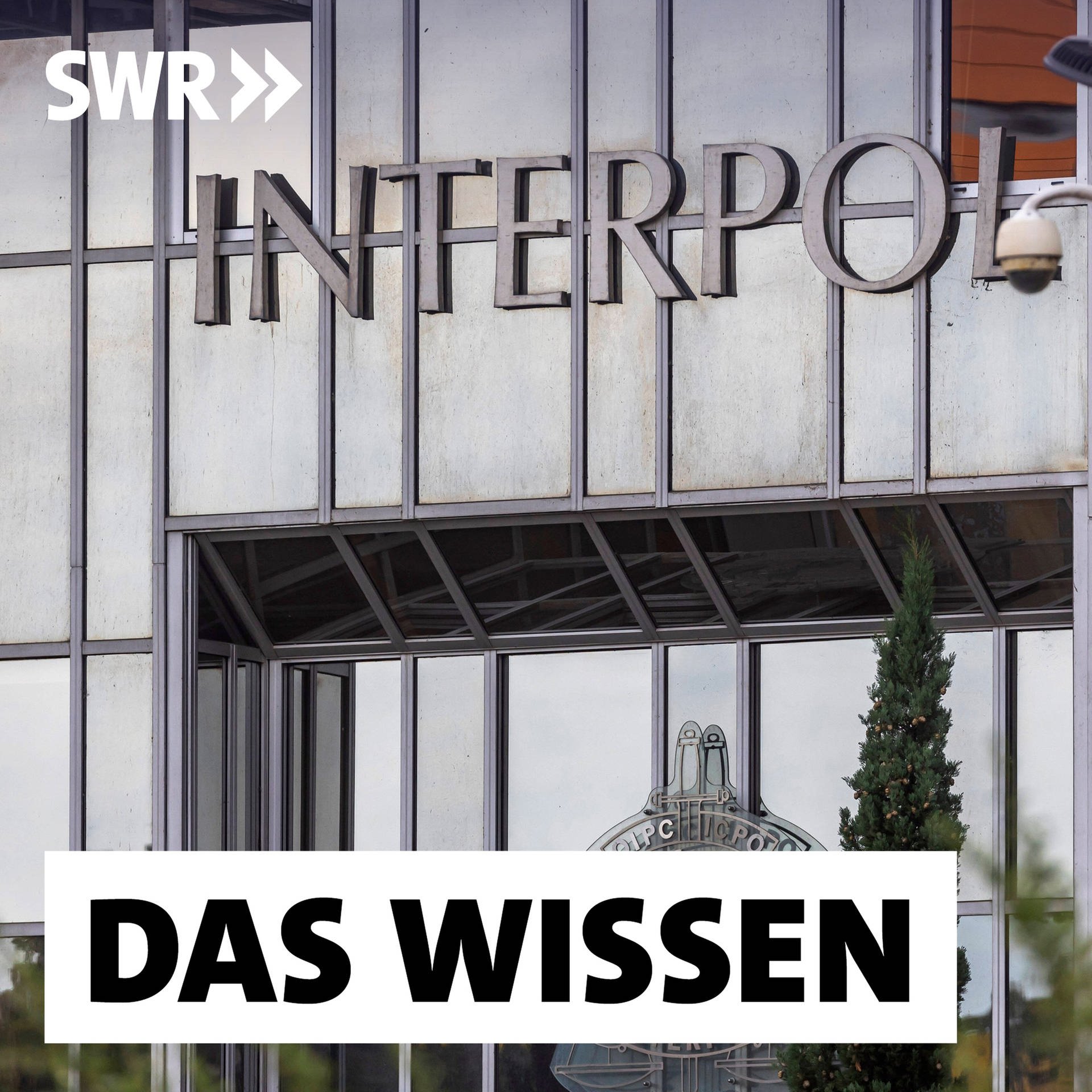 Wie Interpol Verbrecher jagt – Wem nutzt die Weltpolizei?