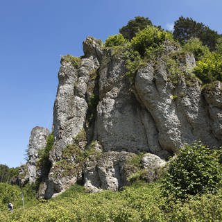 Kletterfelsen Steinfelder Wand, Fränkische Schweiz, Fränkische Alb, Frankenjura, Oberfranken, Franken, Bayern, Deutschland, Europa