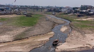 Ein Luftbild zeigt die Trockenheit in Igarapé do Educandos im Oktober 2023 im Zentrum von Manaus. Von der starken Dürre im Amazonasbecken sind sehr viele Gemeinden betroffen.