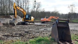 Auf einem Feld in der Nähe des Wasserwerks Bühl-Balzhofen stehen im Februar 2022 Bagger. Dort wird PFC-verunreinigter Boden abgetragen. Das gesundheitsschädliche Gift soll bis 2008 durch einen Kompostunternehmer auf Felder in Mittelbaden gebracht worden sein. 