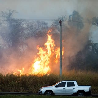 Brasilien, Wald- und Buschbrände im Bundesstaat Sao Paulo