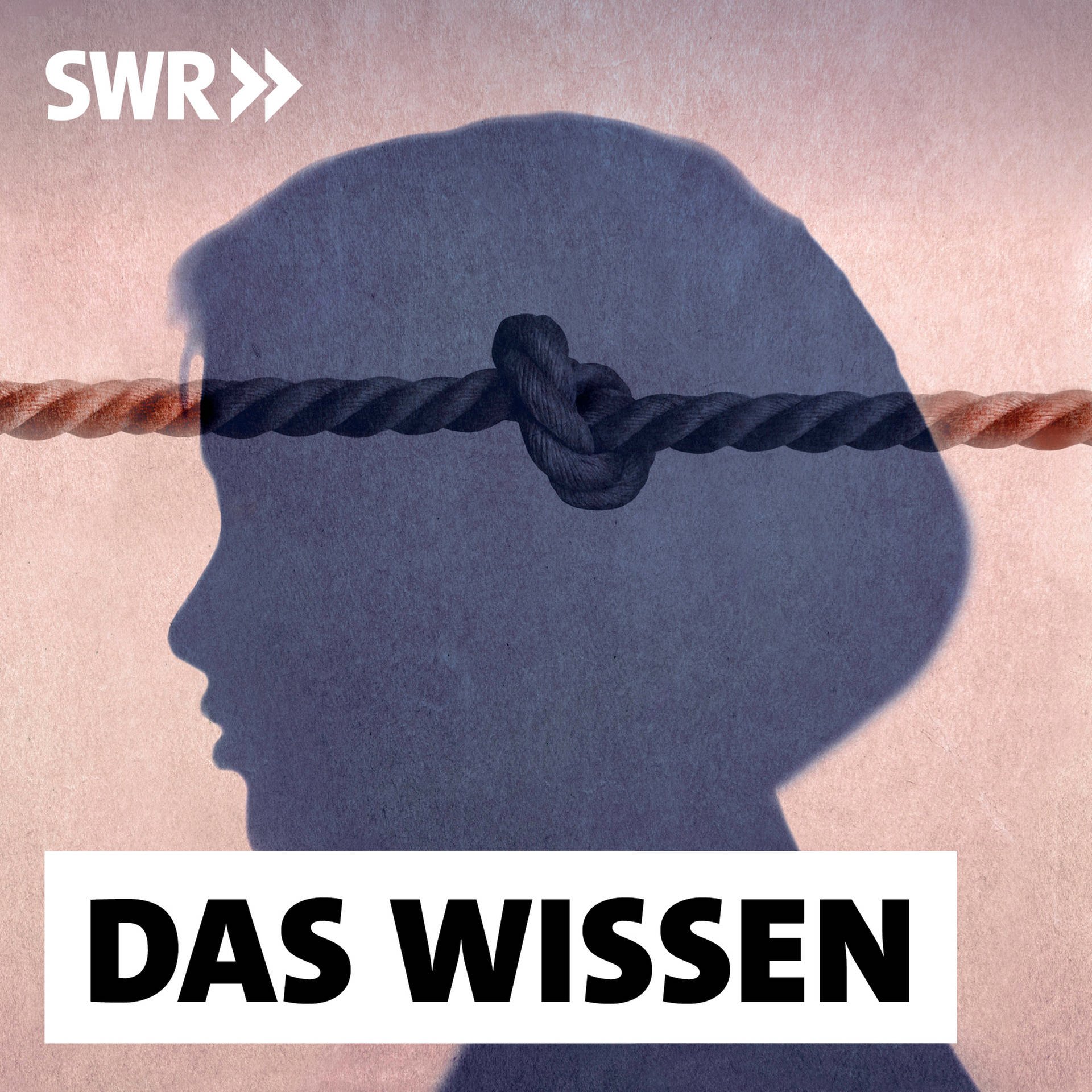 Borderline verstehen – Die Erforschung einer Persönlichkeitsstörung