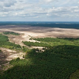 ARCHIV - Blick aus einem Leichtflugzeug auf den ehemaligen Truppenübungsplatz der sowjetischen Armee in die Lieberoser Heide unweit von Lieberose (Brandenburg)