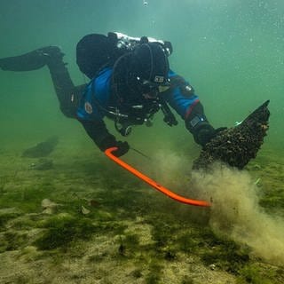 Ein archäologischer Forschungstaucher nähert sich einem Schiffswrack der frühen Neuzeit vor Unteruhldingen im Bodensee. Julia Goldhammer erzählt wie die Funde untersucht werden.