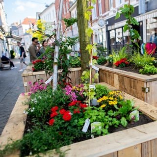 Bunte Pflanzen blühen in Hochbeeten in der Innenstadt von Oldenburg in Niedersachsen: Innenstädte sollen wieder zu Orten werden, an denen sich alle wohlfühlen. Dafür braucht es eine Mischung aus Wohnen, Arbeiten und Freizeitgestaltung – und die Beteiligung der Menschen.